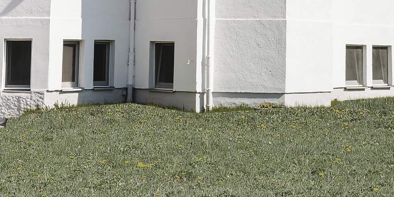 Basement windows with bug screens